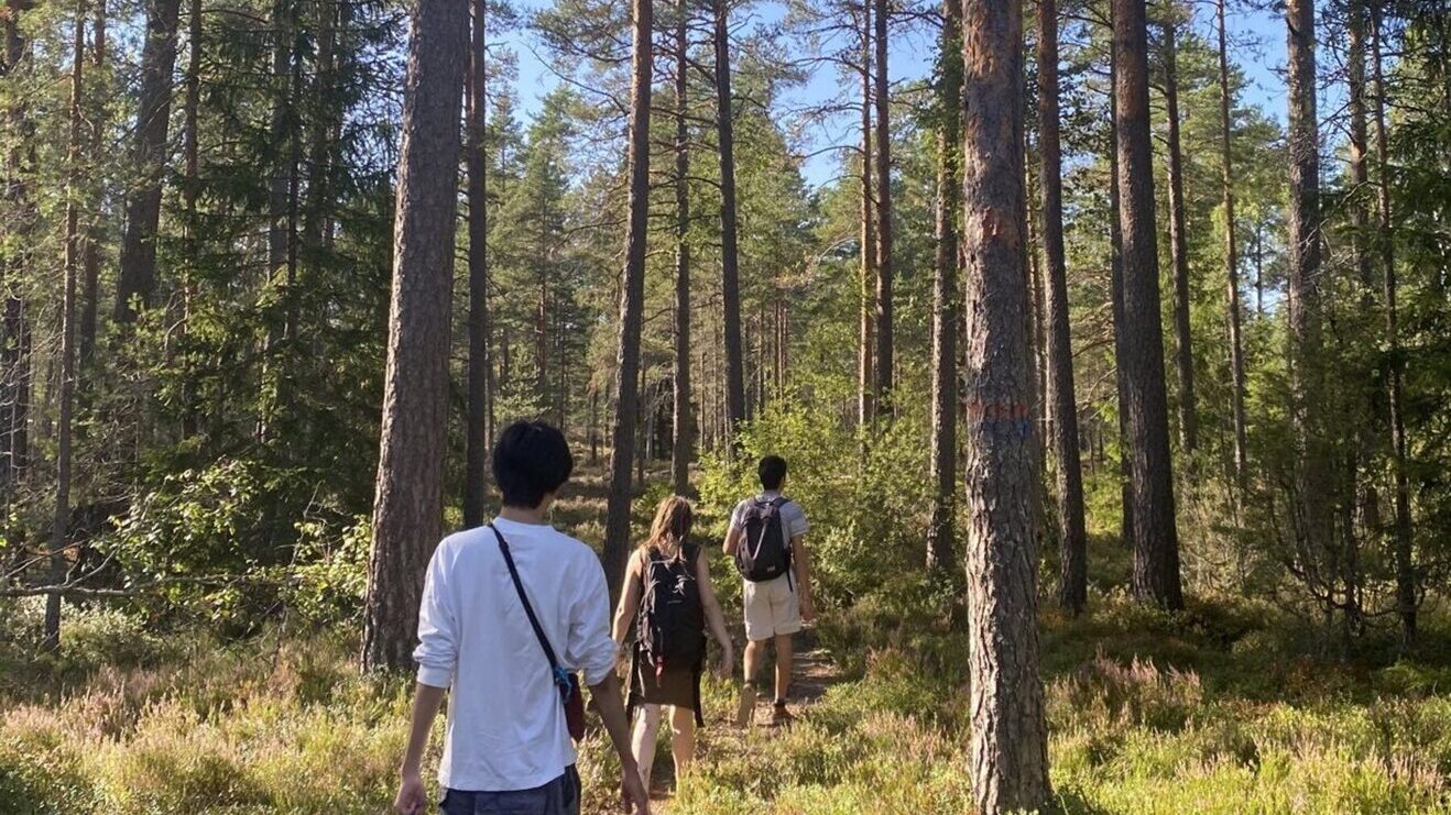 Outdoors Hiking